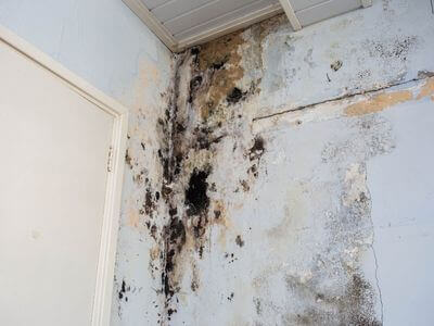 About Atlantic Flood Restoration Group - water damage restoration experts in Halifax